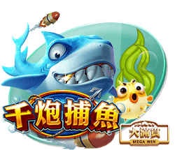 星空全站下载app官方版